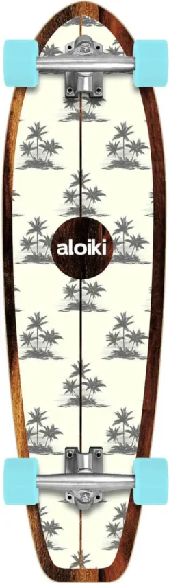 Skateboard Cruiser 8 Skateboard Cruiser -Sport Invernali aloiki cruiser skateboard bg 1