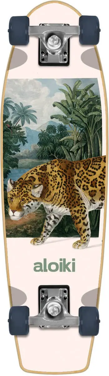 Skateboard Cruiser 3 Skateboard Cruiser