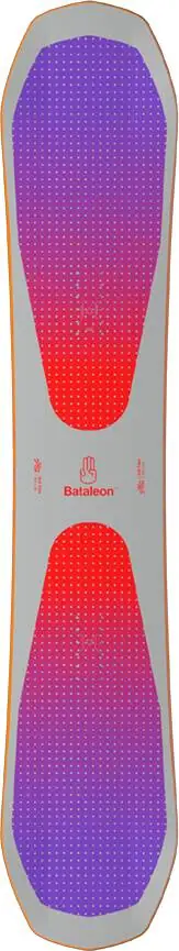 Bataleon Evil Twin Snowboard