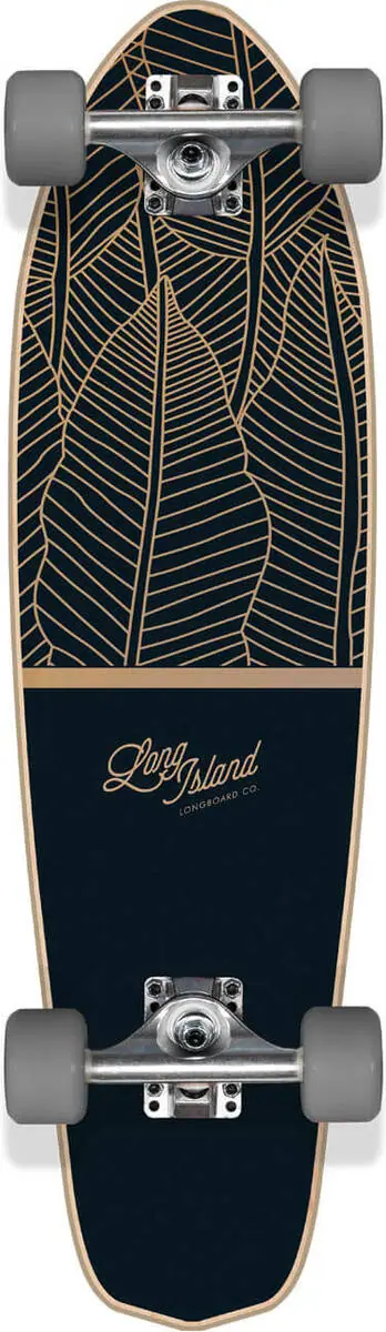 Long Island Skateboard Cruiser 3 Long Island Skateboard Cruiser
