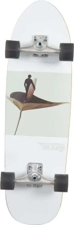 Long Island Surfskate -Sport Invernali long island surfskate f3